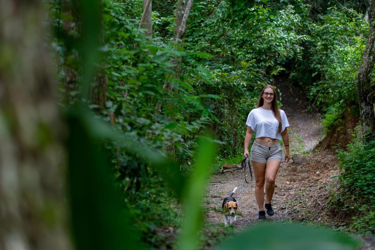 Rinconcito Lodge Hacienda Santa María エクステリア 写真