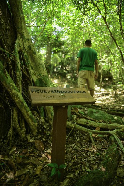 Rinconcito Lodge Hacienda Santa María エクステリア 写真